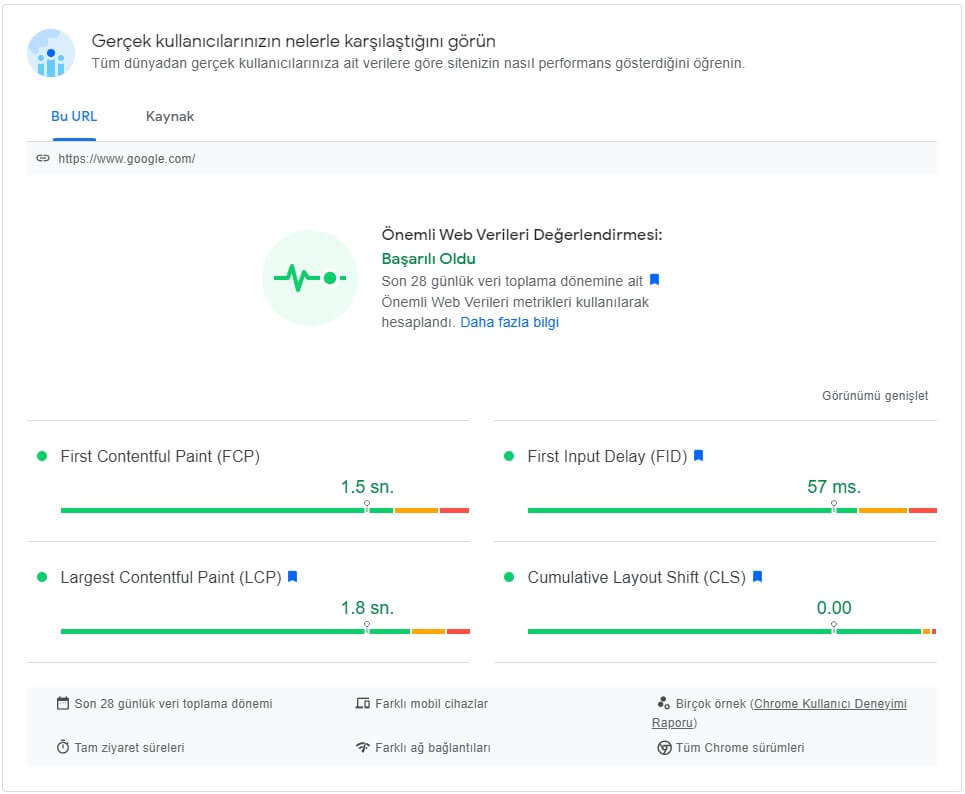 google-pagespeed-insights-yeni-arayuz